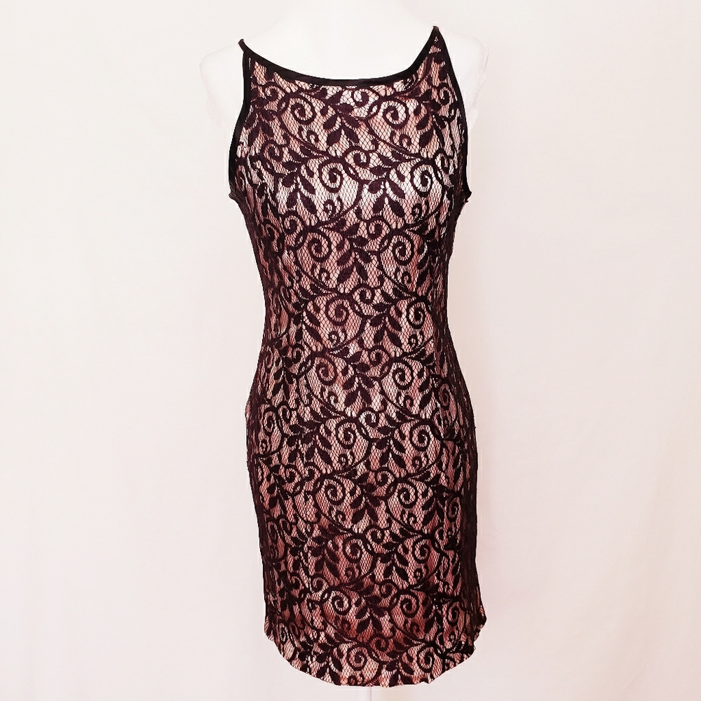 CDC Petites Black Lace/Pink Underlay Dress
